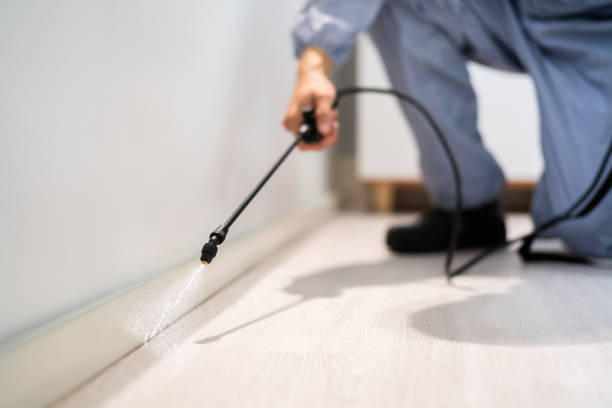 Licensed Wasp Removal service in Bruce, MS - Show Me Pest Control