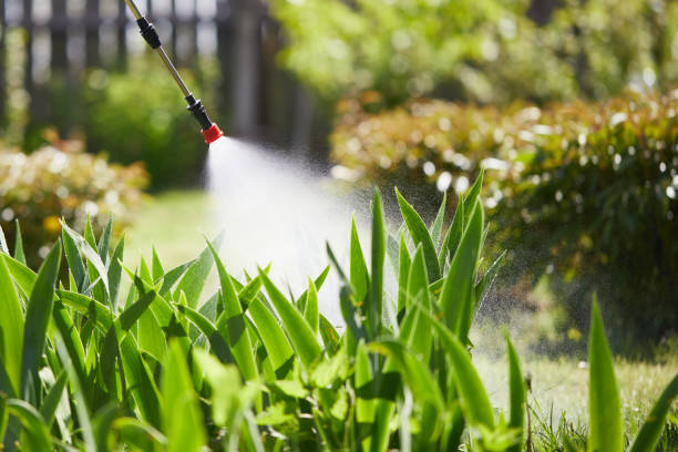 24/7 Emergency Wasp Removal experts in Bruce, MS