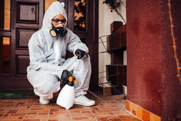 Reliable Wasp Removal contractor in Bruce, MS by Show Me Pest Control